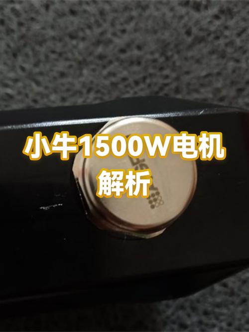 小牛电动车电机是多少瓦