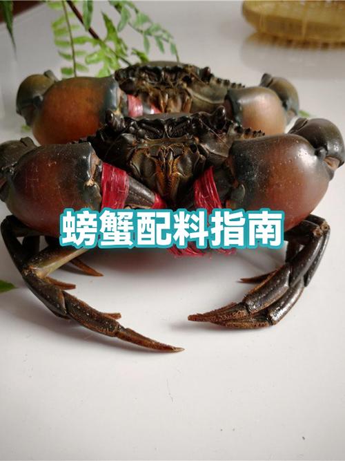 大闸蟹和海蟹哪个贵