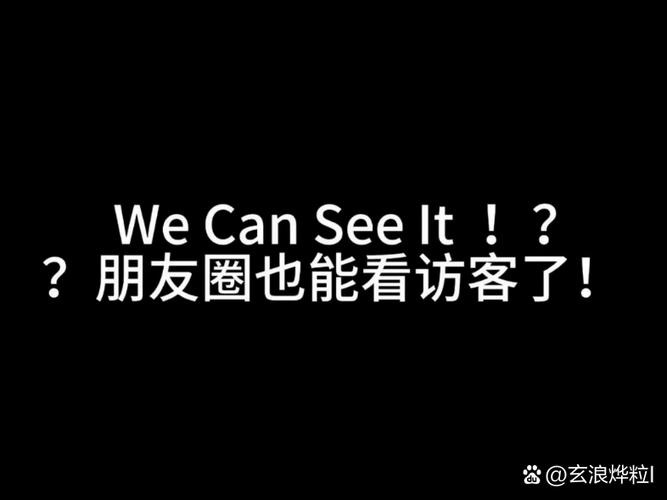 朋友圈访客