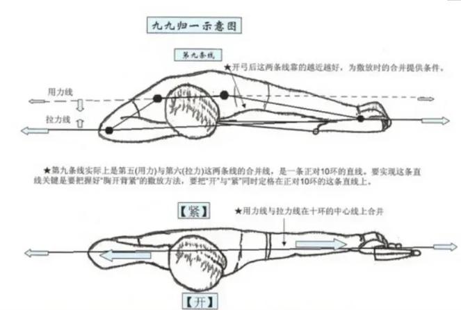 射箭肌肉用力示意图