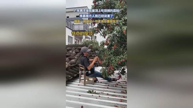 男子光膀子摘荔枝晒出大花背
