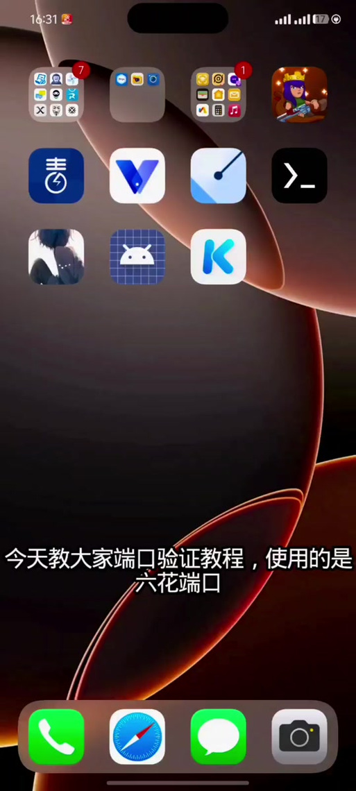 六花端口验证器