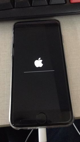 6s循环重启白苹果