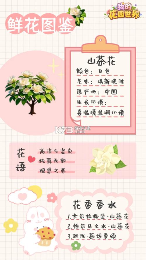 我的花园世界下载入口