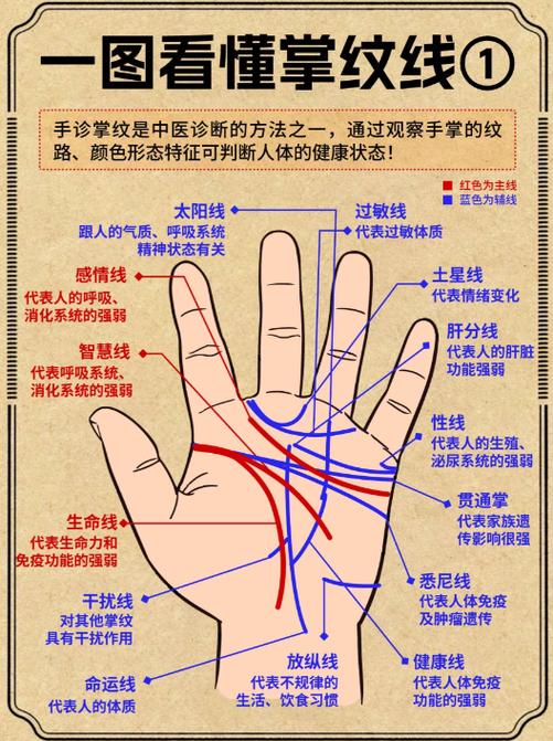 男人手相看左手还是右手
