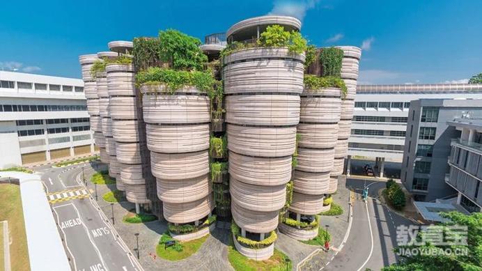 新加坡当地认可度最高的大学