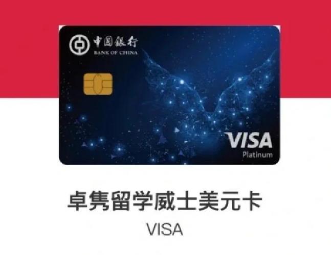 visa借记卡可以国外刷吗截图