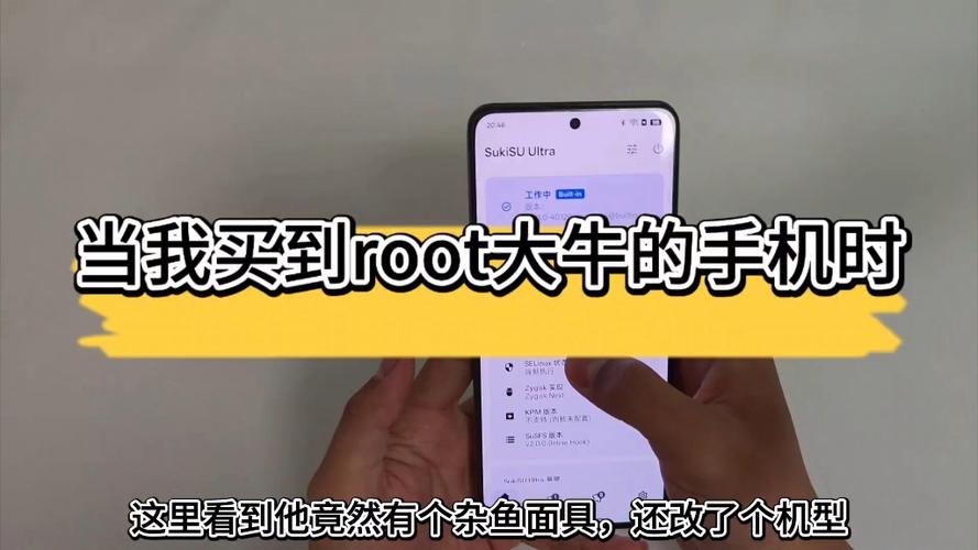 daniu大牛root破解版