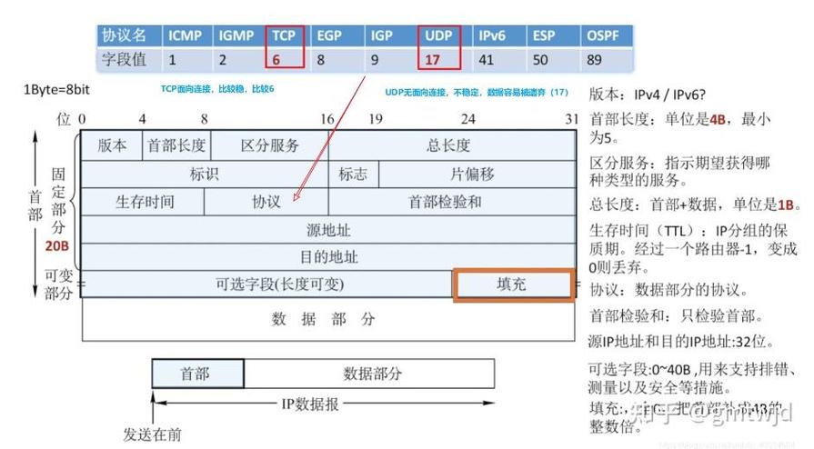 iptv机顶盒ipv6设置