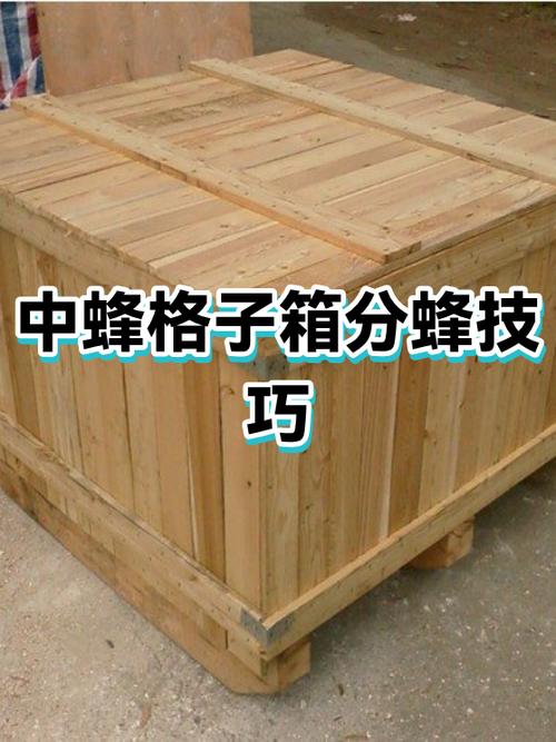 分蜂会进旁边的空箱吗