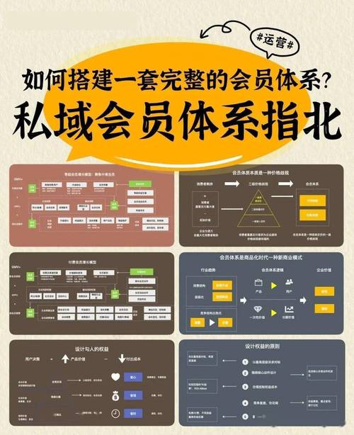 vivo会员是什么意思啊