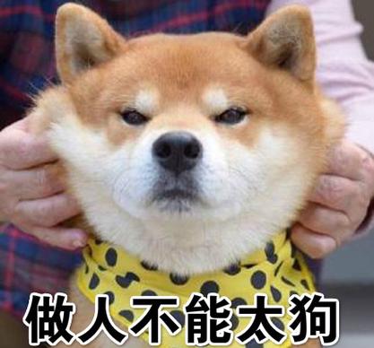 说人狗是啥意思缩略图