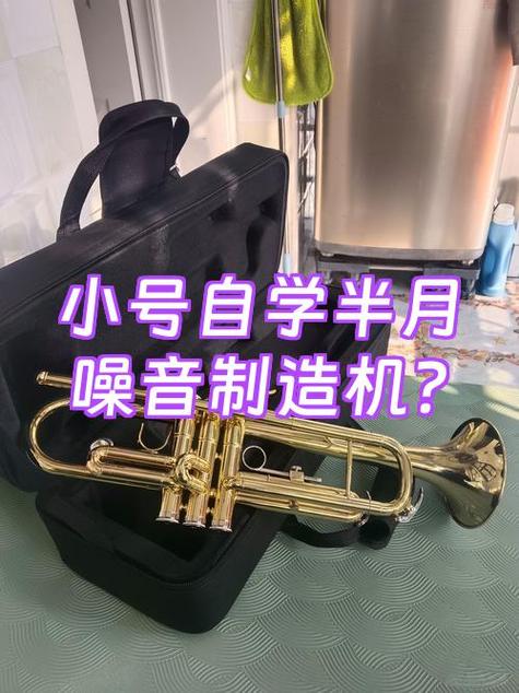 自学小号难不难缩略图