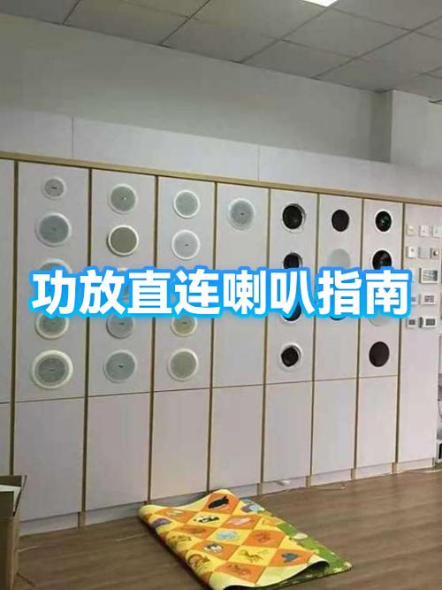 话筒可以直接接功放吗