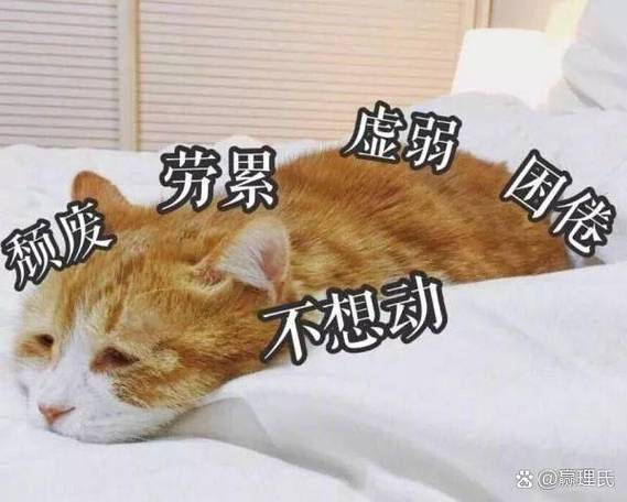 颓废生活表情包截图