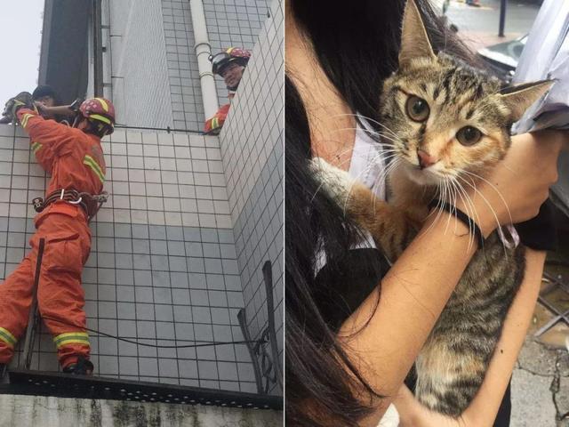 奶奶用绳子绑着孙子去捡猫