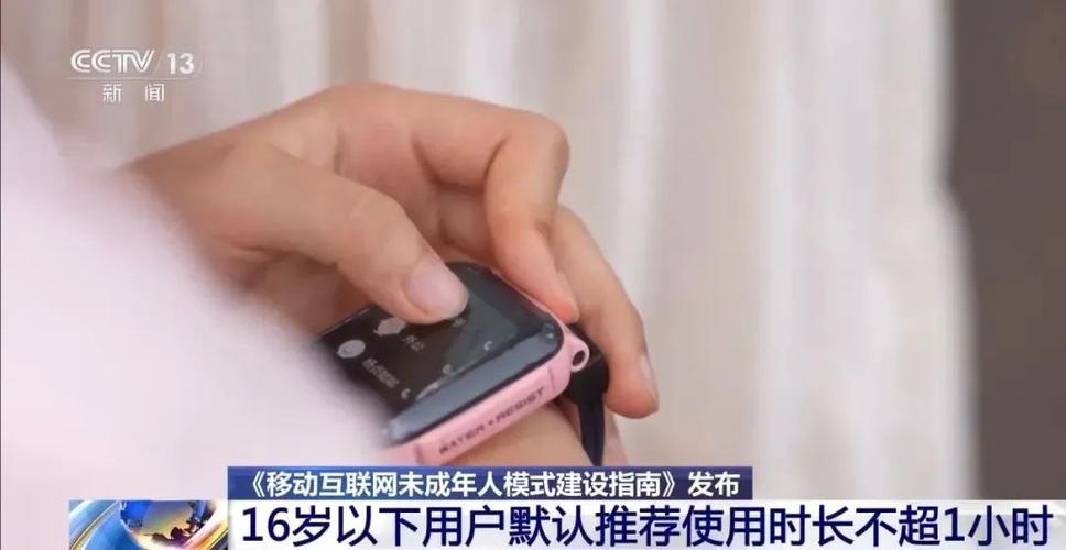 成年当天能不能上网