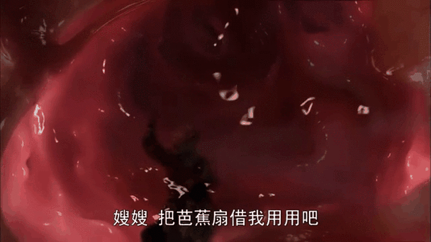 西游记铁扇公主吞孙悟空动漫