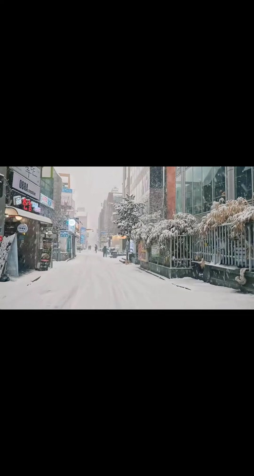 北方的雪飘不到南方是什么歌