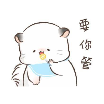 要你管下载