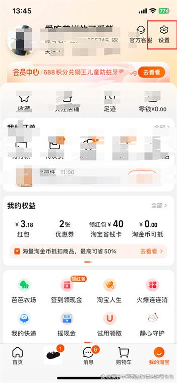 淘宝免密支付在哪关