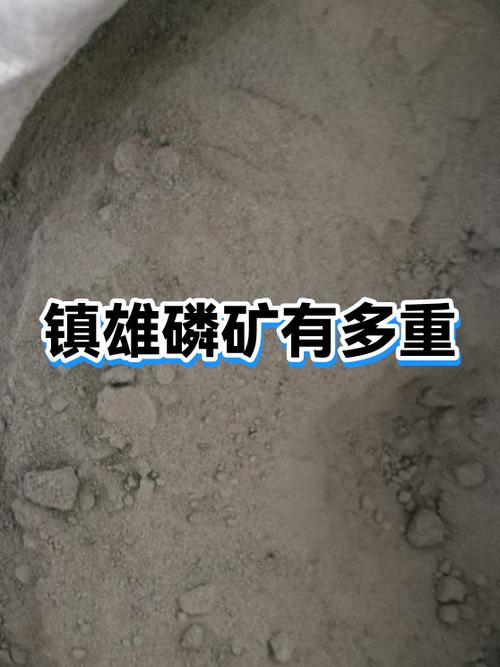 镇雄磷矿中标单位公示
