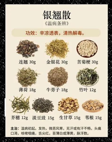 银翘散方歌