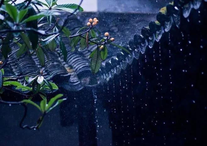 独坐小楼听风雨