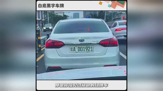 白色黑子牌照