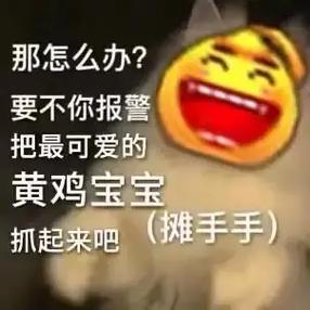 黄鸡大笑的表情包在哪里