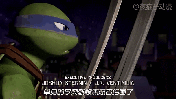 忍者龟一共出了几季