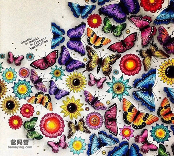秘密花园蝴蝶涂色成品