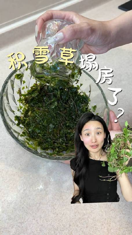 长期用积雪草敷脸的人