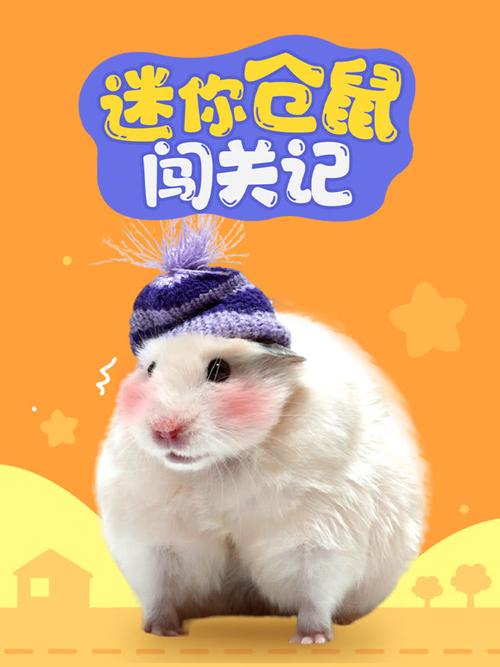 迷你仓鼠闯关记游戏截图