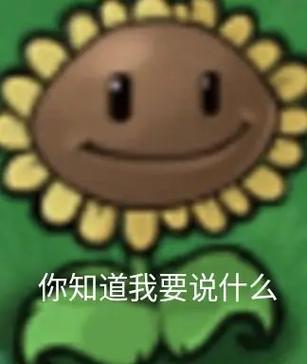 植物大战僵尸抽象表情包