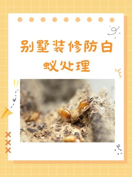 怎样预防白蚁最有效