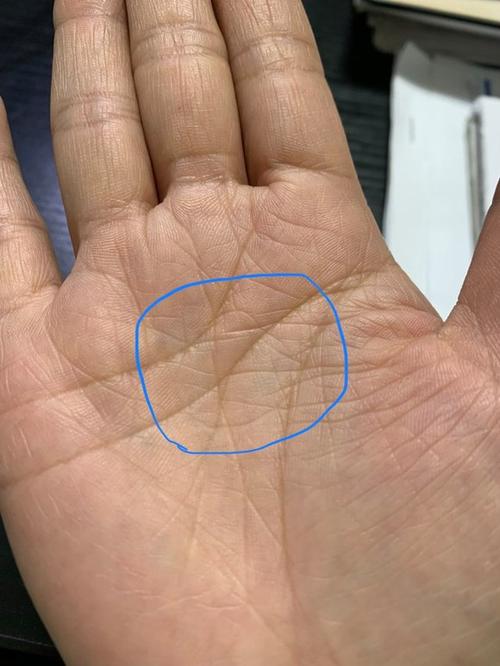 手掌心掌纹游戏截图