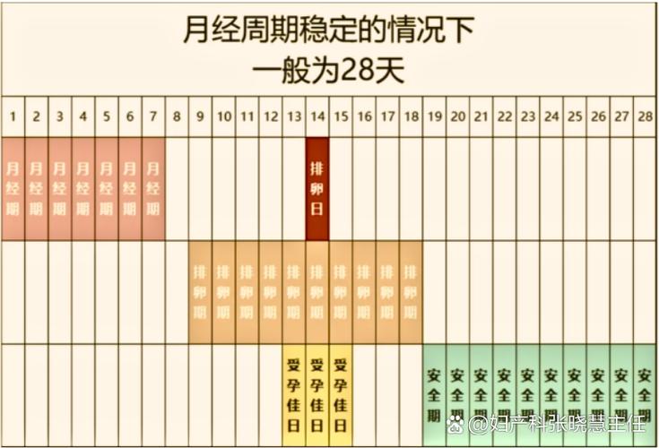 月经周期多少天正常缩略图