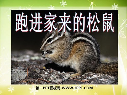 一只松鼠跑进我们家来