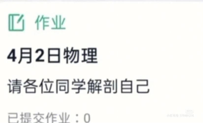 钉钉作业怎么布置作业