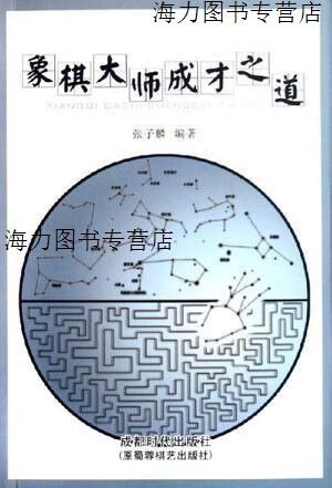 象棋级别