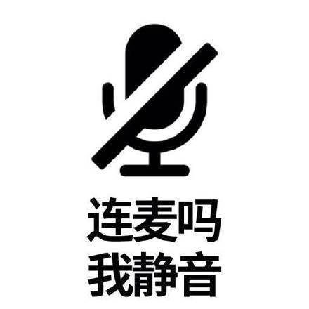 对象连麦总静音