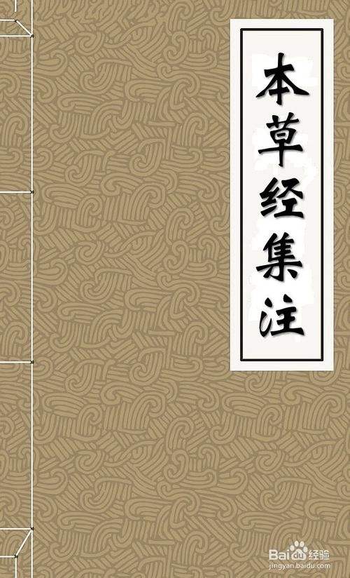 何为本草