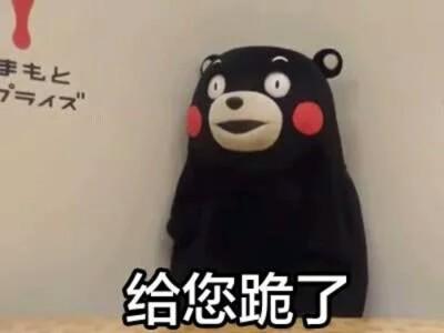 给跪表情包