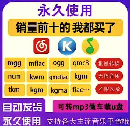 下载的歌不是会员播放不了