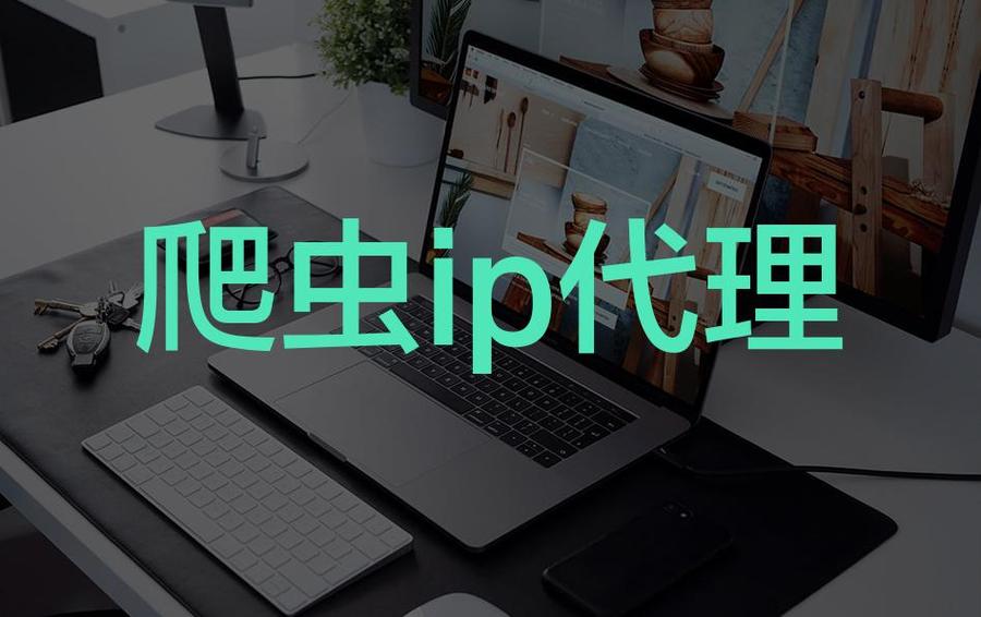 国内代理ip购买图标