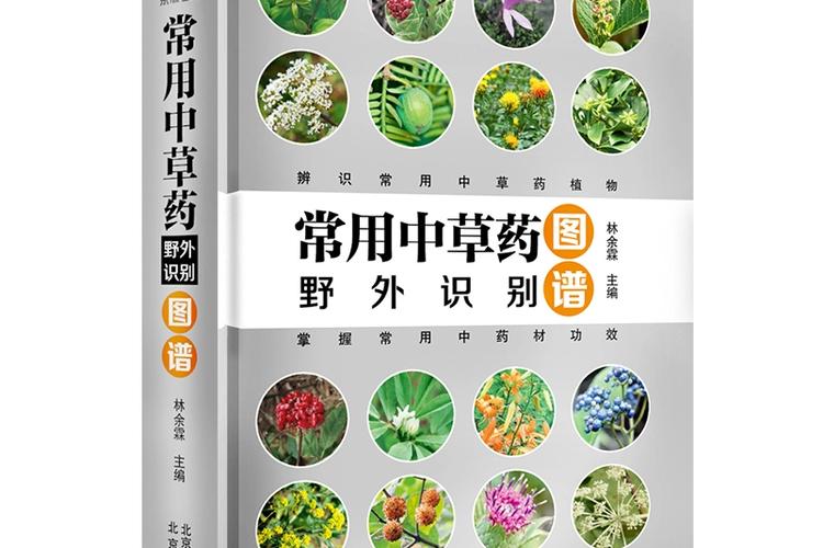 草药扫一扫识别名称缩略图