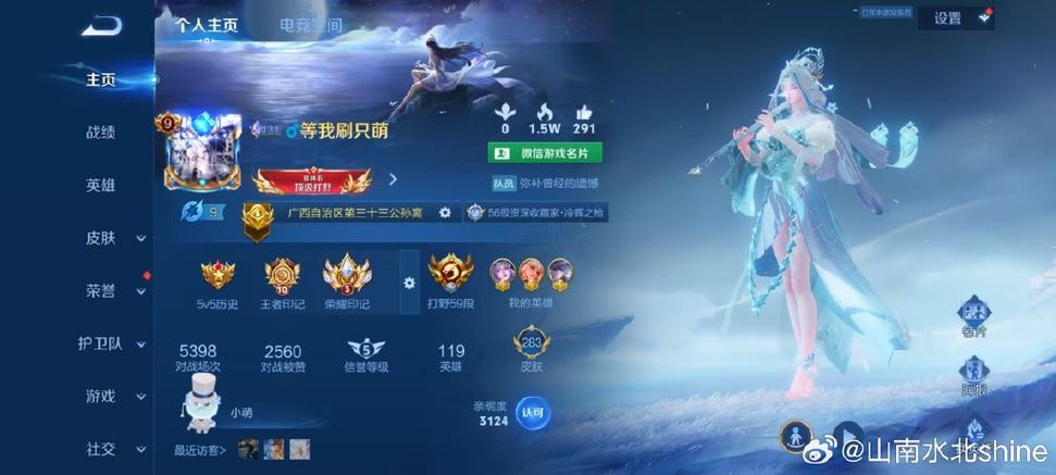 王者荣耀主页标志会掉吗
