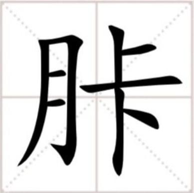 胩是指的哪个部位游戏截图