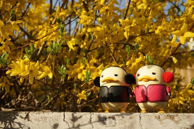 duckoo韩国官网